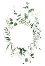 Watercolor painted greenery round frame on white background. Green wild plants, branches, leaves and twigs.
