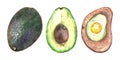 Watercolor painted three-object vegetarian food set. whole avocado, sliced avocado and avocado scrambled eggs. Illustration for