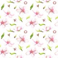 Watercolor painted white cherry blossoms seamless pattern. Royalty Free Stock Photo