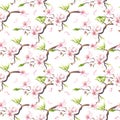 Watercolor painted white cherry blossoms seamless pattern. Royalty Free Stock Photo