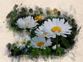 Watercolor painted white daisies