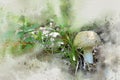 Watercolor painted white mushroom