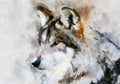 Wolf portrait in watercolor painting