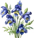 Watercolor painting of Aconite flower. AI-Generated.