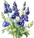 Watercolor painting of Aconite flower. AI-Generated.