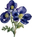 Watercolor painting of Aconite flower. AI-Generated.