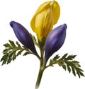 Watercolor painting of Aconite flower. AI-Generated.