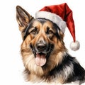 Watercolor painting of an adorable German Shepherd breed dog wearing a red Santa Claus hat on a white background. Perfect for Royalty Free Stock Photo