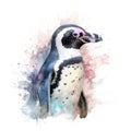 african penguin Generative Ai