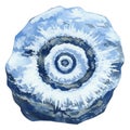 Watercolor Painting of an Ancient Fossilized Ammonite Shell with Spiral Pattern on White Royalty Free Stock Photo