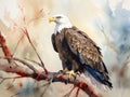 A watercolor painting of a bald eagle perched on a branch. Generative AI image.