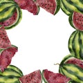 Watercolor painting of watermelon and isolated on white background. Watercolor hand painted illustration. Bright fruit pattern, Wa Royalty Free Stock Photo