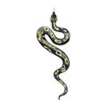 Watercolor painting of a beautiful black yellow snake. Anaconda boa. Royalty Free Stock Photo