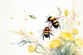 watercolor painting of bees, flowers and leaves, on white background, Watercolor Bumblebees Hand Painted Summer Illustration, AI Royalty Free Stock Photo