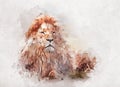 Watercolor painting of big proud lion.