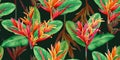 Watercolor painting bird of paradise blooming flowers,colorful seamless pattern dark background.Watercolor hand drawn green leaves Royalty Free Stock Photo