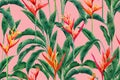 Watercolor painting bird of paradise blooming flowers,colorful seamless pattern pink background.Watercolor hand drawn green leaves Royalty Free Stock Photo