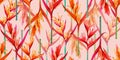 Watercolor painting bird of paradise blooming flowers,colorful seamless pattern on pink rose background.Watercolor hand drawn illu Royalty Free Stock Photo