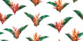 Watercolor painting bird of paradise blooming flowers,colorful seamless pattern on white background.Watercolor green leaves illust Royalty Free Stock Photo