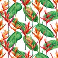 Watercolor painting bird of paradise blooming flowers,colorful seamless pattern on white background.Watercolor green leaves illust Royalty Free Stock Photo