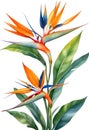 Watercolor painting of Bird-of-Paradise flower. Waterclor flower illustration. Ai-Generated