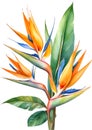 Watercolor painting of Bird-of-Paradise flower. Waterclor flower illustration. Ai-Generated