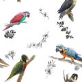 Watercolor painting with birds and flowers, seamless Royalty Free Stock Photo