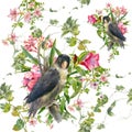 Watercolor painting with birds and flowers, seamless pattern on white background. Royalty Free Stock Photo