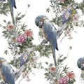 Watercolor painting with birds and flowers, seamless pattern on white background. Royalty Free Stock Photo