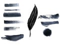 watercolor painting black abstract quill feather pen set. Royalty Free Stock Photo