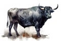 Watercolor painting of black bull on white background. Wildlife Animals. Illustration, generative AI Royalty Free Stock Photo