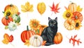 Watercolor painting black cat, autumn leaves and pumpkin, animal art, drawing illustration, cute kitten card halloween Royalty Free Stock Photo