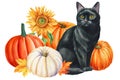 Watercolor painting black cat, autumn leaves and pumpkin, animal art, drawing illustration, cute kitten card halloween Royalty Free Stock Photo