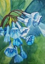Watercolor painting of blue bell flowers