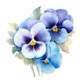 Watercolor Blue Pansies Illustration - Symmetrical Arrangement Clipart Royalty Free Stock Photo