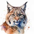 Watercolor painting of bobcat. Red lynx. Animal portrait. Hand drawn art. Detailed illustration