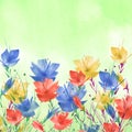 Watercolor painting. A bouquet of flowers of Blue,red poppies, wildflowers on a white isolated background. watercolor floral Royalty Free Stock Photo