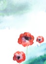 Watercolor painting. A bouquet of flowers of red poppies, rose, peony wildflowers abstract spot, blot. blue, turquoise, spot. Wa