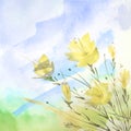 Watercolor painting. A bouquet of flowers of yellow poppies, wildflowers on a white isolated background.