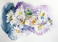 Watercolor painting bouquet of white chamomiles Royalty Free Stock Photo