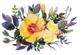 Watercolor painting bouquets Flower Hibiscus Place yellow Royalty Free Stock Photo