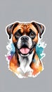 Colorful watercolor cute Boxer dog illustration on white background Royalty Free Stock Photo