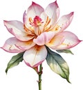 Watercolor painting of Brahma Kamal (Saussurea obvallata) flower. AI-Generated.