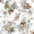 Watercolor painting of Butterfly and flowers, seamless pattern on white Royalty Free Stock Photo