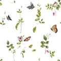 Watercolor painting of Butterfly and flowers, seamless pattern on white Royalty Free Stock Photo