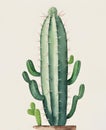 watercolor painting cactus room decoration home minimalist style