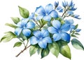 Watercolor painting of Cape Plumbago flower. Ai-Generated