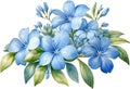 Watercolor painting of Cape Plumbago flower. Ai-Generated