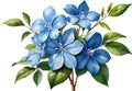 Watercolor painting of Cape Plumbago flower. Ai-Generated