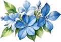 Watercolor painting of Cape Plumbago flower. Ai-Generated